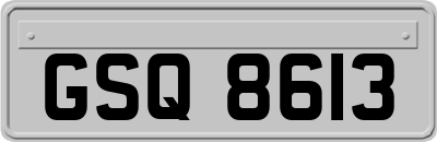 GSQ8613