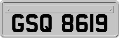 GSQ8619