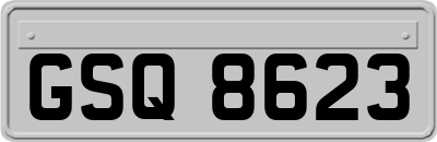 GSQ8623