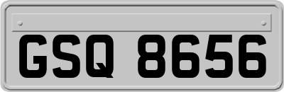 GSQ8656