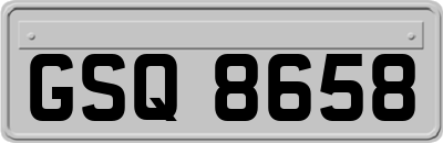 GSQ8658