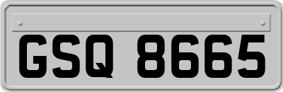 GSQ8665