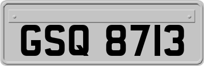 GSQ8713