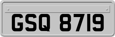 GSQ8719