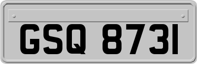 GSQ8731