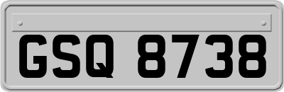 GSQ8738