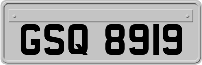 GSQ8919