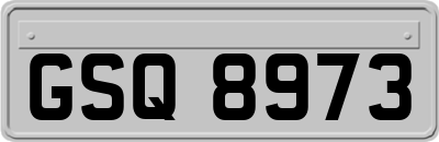 GSQ8973