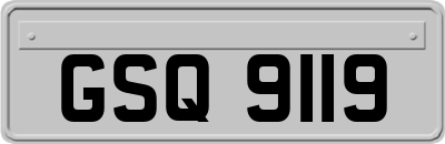 GSQ9119