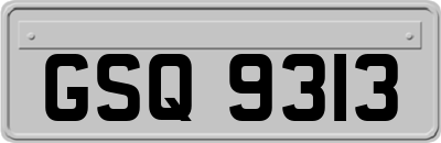 GSQ9313