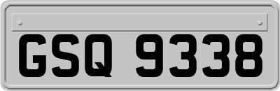 GSQ9338