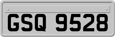 GSQ9528