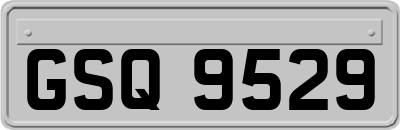 GSQ9529