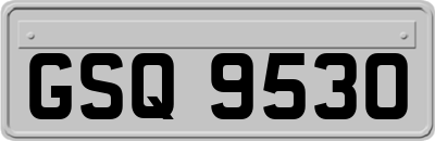GSQ9530
