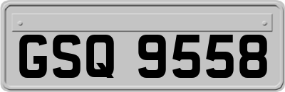 GSQ9558