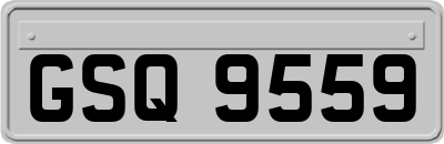 GSQ9559