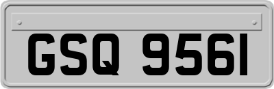 GSQ9561