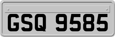 GSQ9585