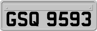 GSQ9593