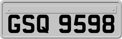 GSQ9598