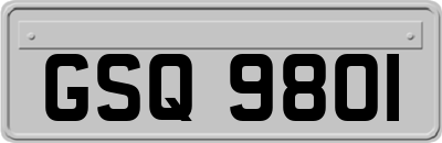 GSQ9801