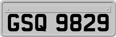 GSQ9829