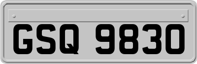 GSQ9830