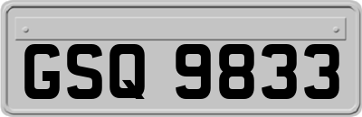 GSQ9833