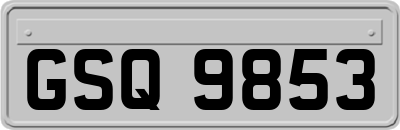 GSQ9853