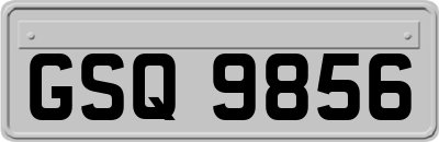GSQ9856