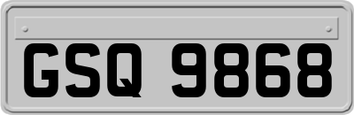 GSQ9868