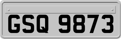 GSQ9873