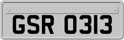 GSR0313