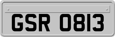 GSR0813