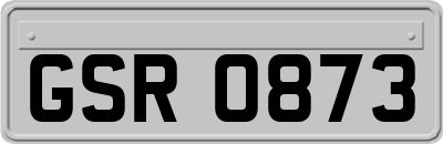 GSR0873