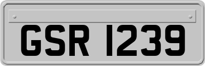 GSR1239