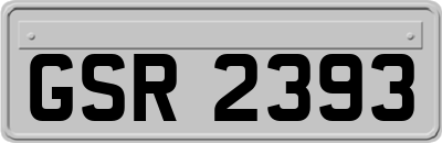 GSR2393