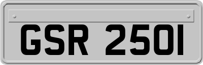 GSR2501
