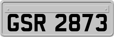 GSR2873