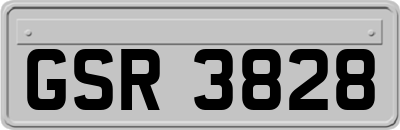 GSR3828