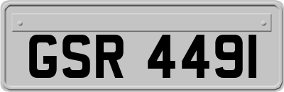 GSR4491