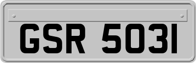 GSR5031