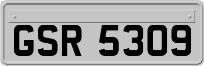 GSR5309