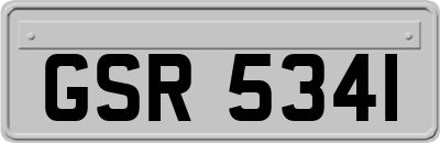 GSR5341