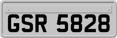 GSR5828