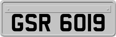 GSR6019
