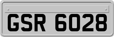 GSR6028