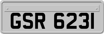 GSR6231