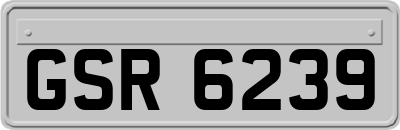 GSR6239