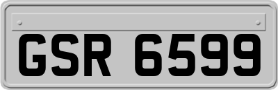 GSR6599